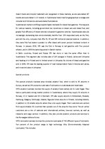 Eseja 'Statiol Fuel & Retail Company', 3.