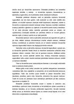 Referāts 'SIA "X" uzņēmējdarbības analīze', 19.