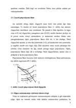 Referāts 'Oligopols', 9.