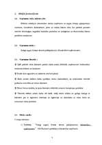 Referāts 'Stratēģiskā vadīšana SIA “Ramiteh”', 5.