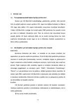 Referāts 'Stratēģiskā vadīšana SIA “Ramiteh”', 12.