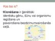 Prezentācija 'Jaunākie atklājumi. Klonēšana', 2.