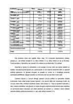 Konspekts 'Biznesa plāns ģimenei uz 20 gadiem', 10.