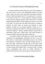 Diplomdarbs 'Sieviešu noziedzības struktūra, dinamika, iemesli un preventīvās metodes', 22.