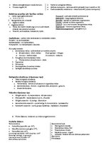 Konspekts 'Ievads mikrobioloģijā. Veselības aprūpes studijas', 8.