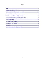 Referāts 'Valdījums kā lietu tiesību institūts romiešu civiltiesībās un šī institūta pieli', 2.