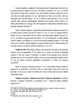 Referāts 'Valdījums kā lietu tiesību institūts romiešu civiltiesībās un šī institūta pieli', 10.