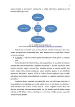 Referāts 'SEB bankas likviditāte', 5.