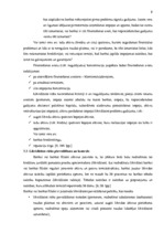 Referāts 'SEB bankas likviditāte', 8.