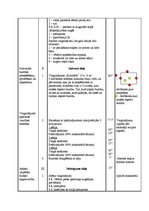 Konspekts 'Sporta stundas konspekts futbolā 4.klasei', 2.