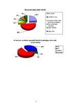 Referāts 'Vecāku audzināšanas stils saistībā ar pusaudžu rakstura veidošanos', 17.