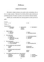 Referāts 'Vecāku audzināšanas stils saistībā ar pusaudžu rakstura veidošanos', 19.