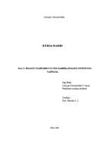 Referāts 'Финансовые посредники и их деятельность в сфере управления финансовых инвестиций', 1.