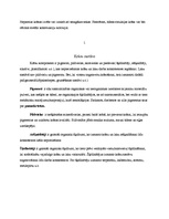 Referāts 'Krāsošana', 3.