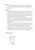 Konspekts 'Koka sijas izpēte', 1.