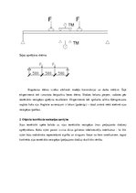 Konspekts 'Koka sijas izpēte', 3.