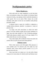 Referāts 'Pērles', 2.