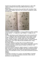 Konspekts 'Parazīti', 4.