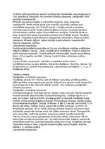 Konspekts 'Parazīti', 9.