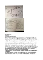 Konspekts 'Parazīti', 11.