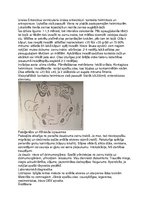 Konspekts 'Parazīti', 14.