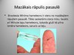 Prezentācija 'Pasaules rāpuļi', 3.