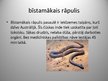 Prezentācija 'Pasaules rāpuļi', 5.