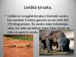 Prezentācija 'Pasaules rāpuļi', 11.