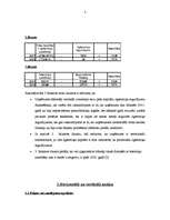 Referāts 'SIA "Vektra pluss" finanšu analīze', 2.