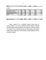 Referāts 'SIA "Vektra pluss" finanšu analīze', 4.