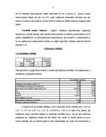 Referāts 'SIA "Vektra pluss" finanšu analīze', 6.