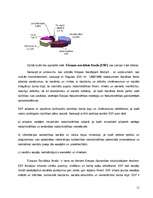 Referāts 'Eiropas Savienības struktūrfondi', 11.