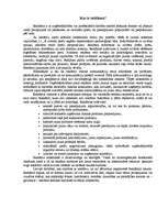 Referāts 'Reklāma Latvijā', 3.