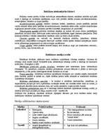 Referāts 'Reklāma Latvijā', 5.