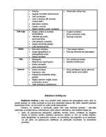 Referāts 'Reklāma Latvijā', 6.