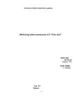 Biznesa plāns 'A/S "Cēsu alus" mārketinga plāns', 1.