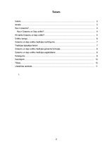 Referāts 'Dziesmu svētku tradīcijas', 2.