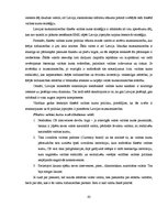 Diplomdarbs 'Fiksētā un peldošā valūtas kursa priekšrocības un trūkumi', 42.