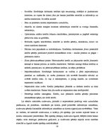 Diplomdarbs 'Fiksētā un peldošā valūtas kursa priekšrocības un trūkumi', 59.