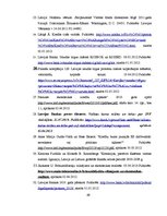 Diplomdarbs 'Fiksētā un peldošā valūtas kursa priekšrocības un trūkumi', 69.