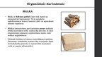 Prezentācija 'Organiskais kurināmais un apkārtējās vides aizsardzība', 4.