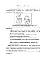 Referāts 'Materiālzinības. Tēma - frēzēšana', 6.