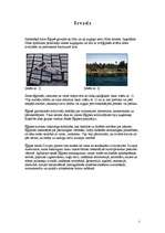 Referāts 'Senā Ēģipte', 2.