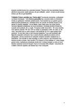 Referāts 'Senā Ēģipte', 4.