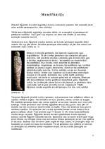 Referāts 'Senā Ēģipte', 11.