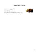 Referāts 'Senā Ēģipte', 13.