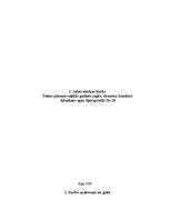 Referāts 'Ūdens plūsma vaļējās gultnēs (upēs, strautos, kanālos)', 1.