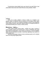 Referāts 'Hinduisms', 4.