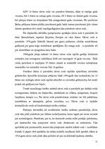 Referāts 'Varas iegūšanas un noturēšanas māksla', 21.