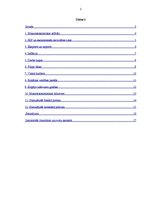 Eseja 'Īrijas trīs gadu ekonomiskā attīstība', 2.